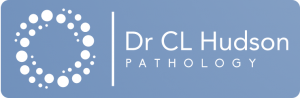 CL Hudson Logo